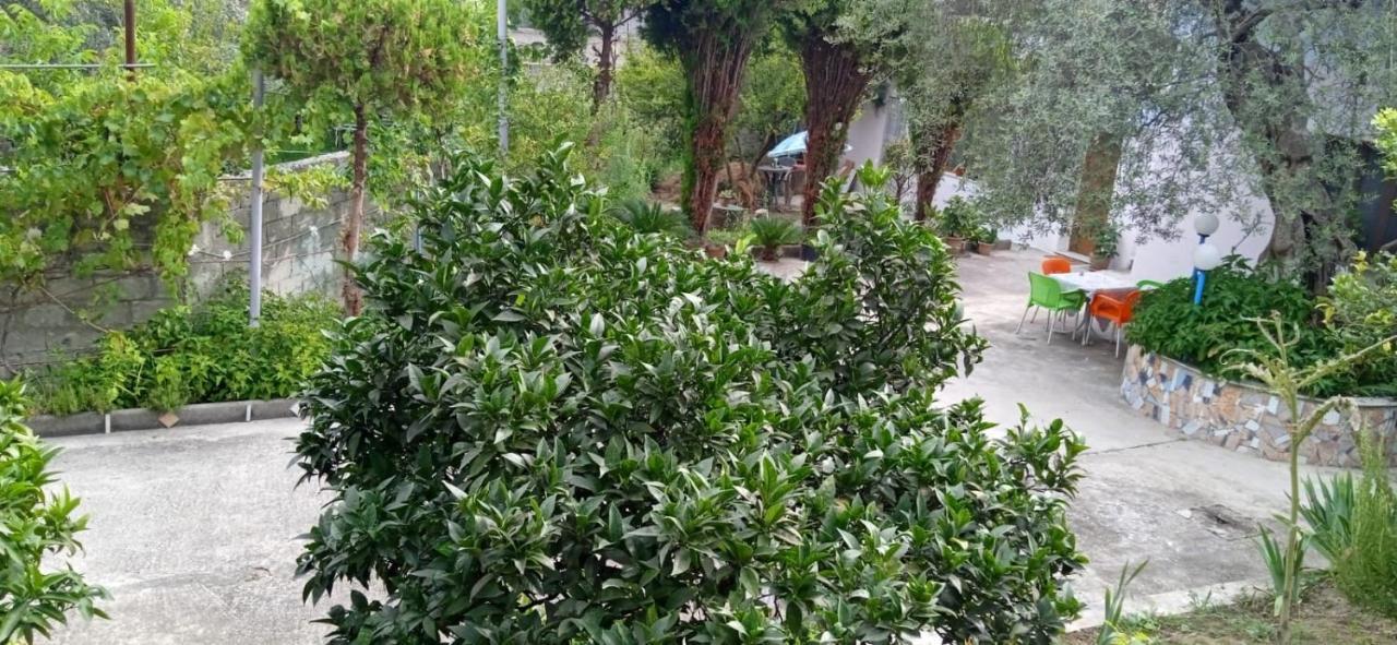 Green Oasis Holiday Home Vlorë Esterno foto