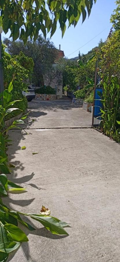 Green Oasis Holiday Home Vlorë Esterno foto