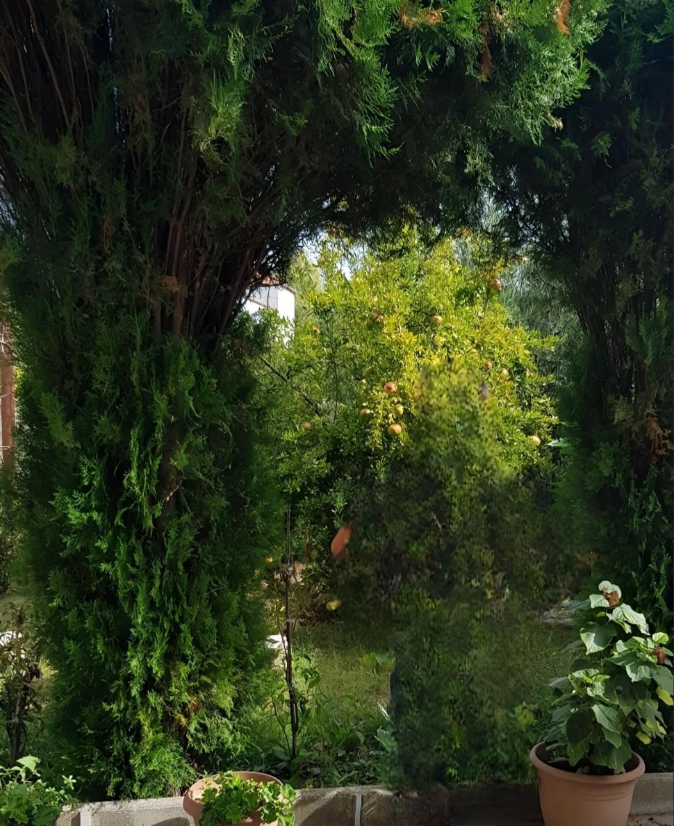 Green Oasis Holiday Home Vlorë Esterno foto