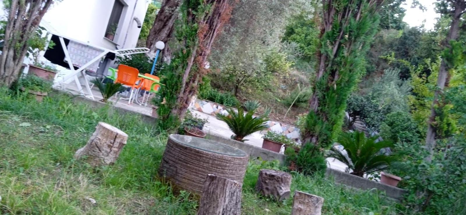 Green Oasis Holiday Home Vlorë Esterno foto